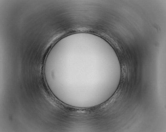 X0000112930159200908241102