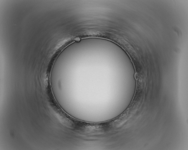 X0000112930160200908241102