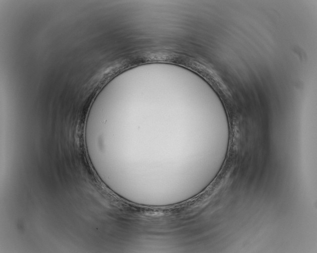 X0000112930161200908241102