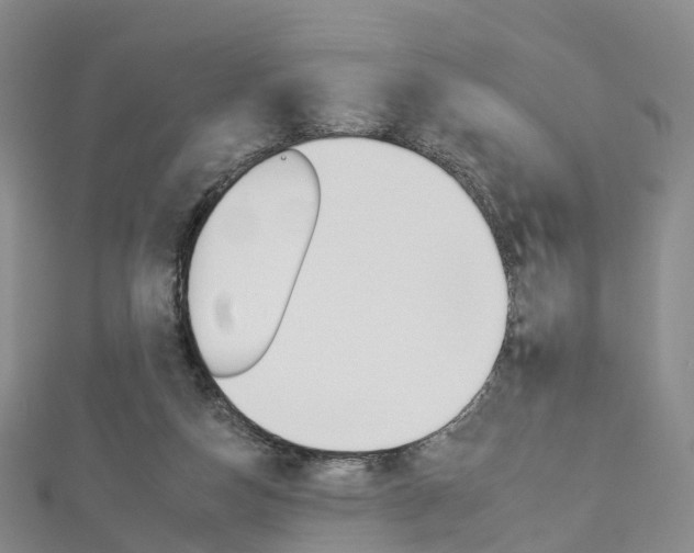 X0000112930162200908241102