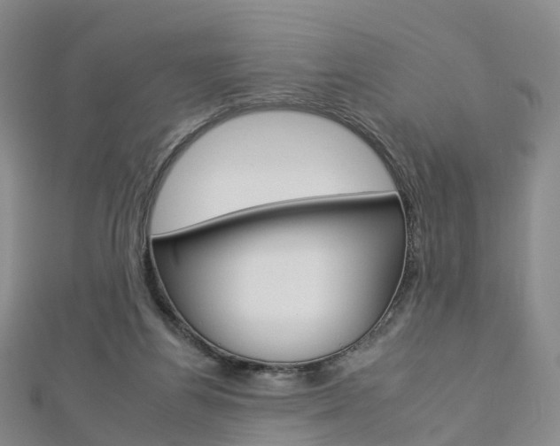 X0000112930164200908241102