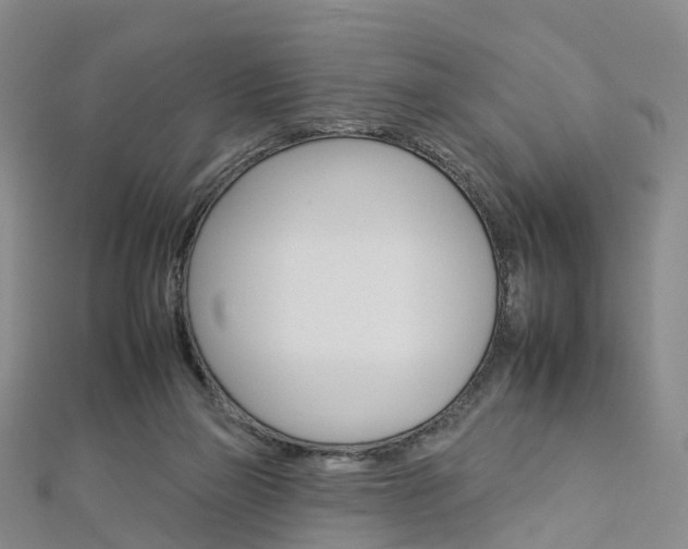 X0000112930165200908241102