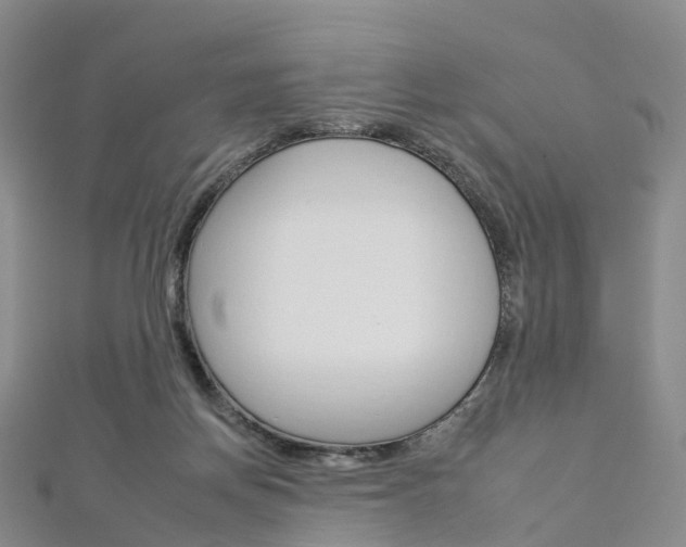 X0000112930166200908241102