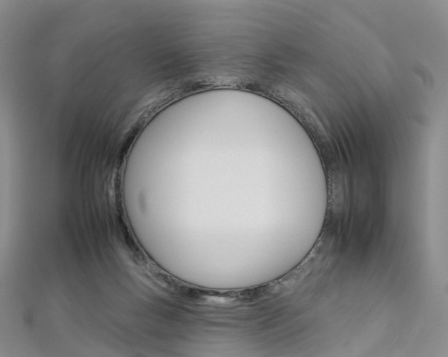 X0000112930167200908241102