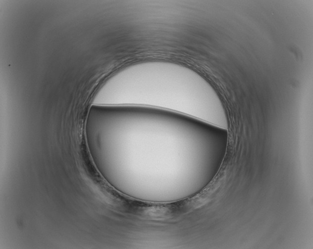 X0000112930168200908241102