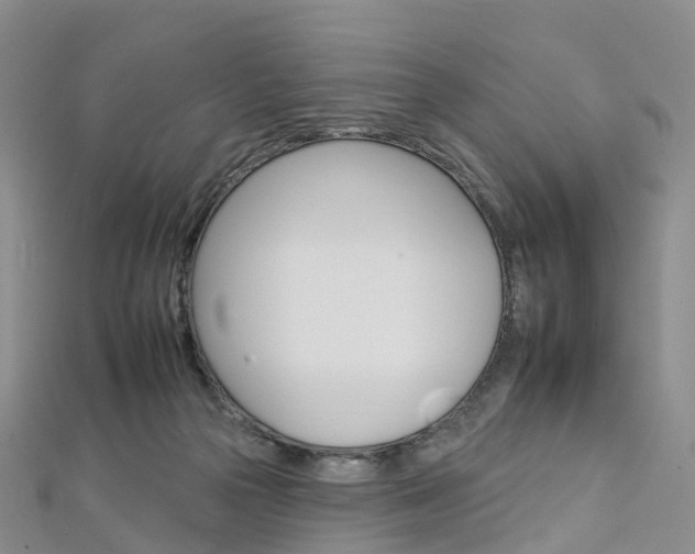 X0000112930169200908241102