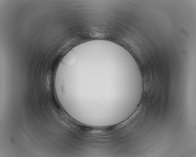 X0000112930171200908241102