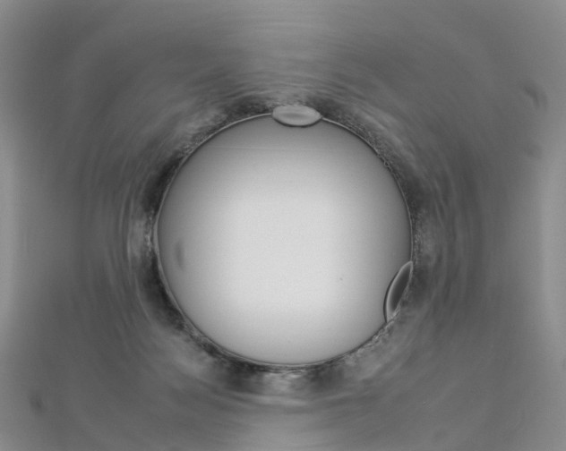 X0000112930172200908241102