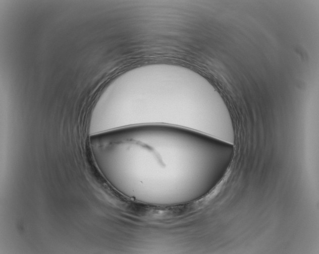 X0000112930174200908241102