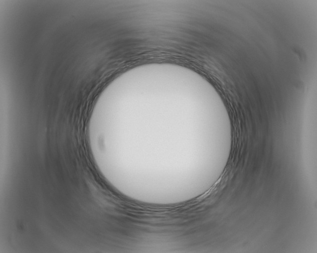 X0000112930176200908241102