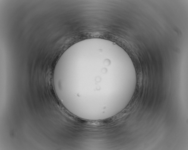 X0000112930181200908241102
