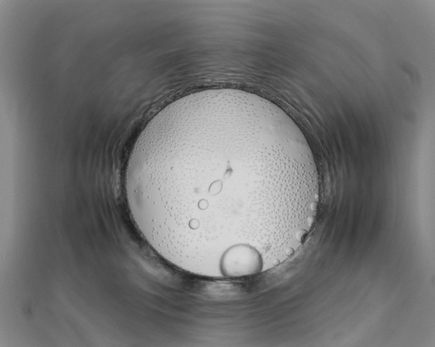 X0000112930183200908241102