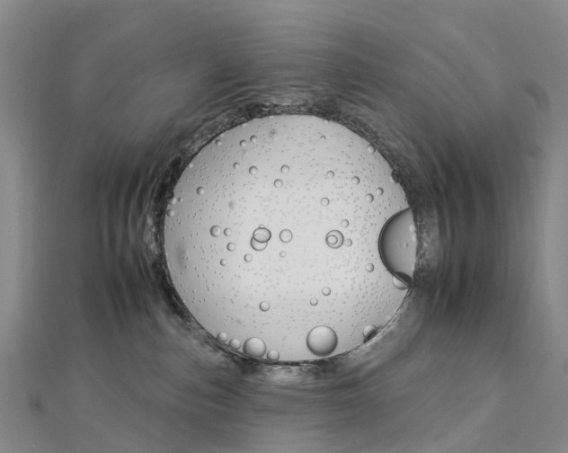 X0000112930187200908241102