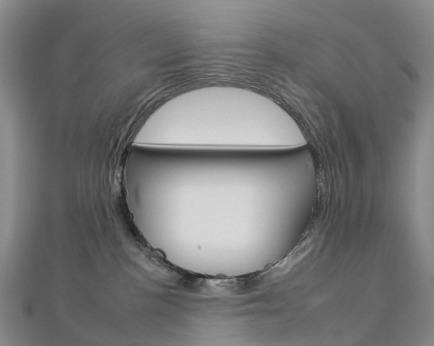 X0000112930188200908241102