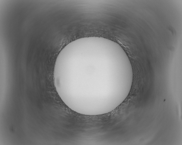 X0000112930192200908241102