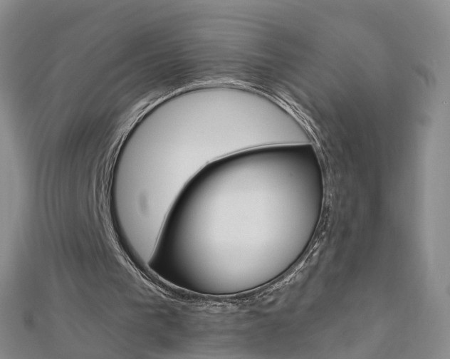 X0000112930193200908241102