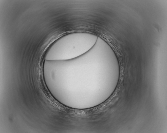 X0000112930194200908241102