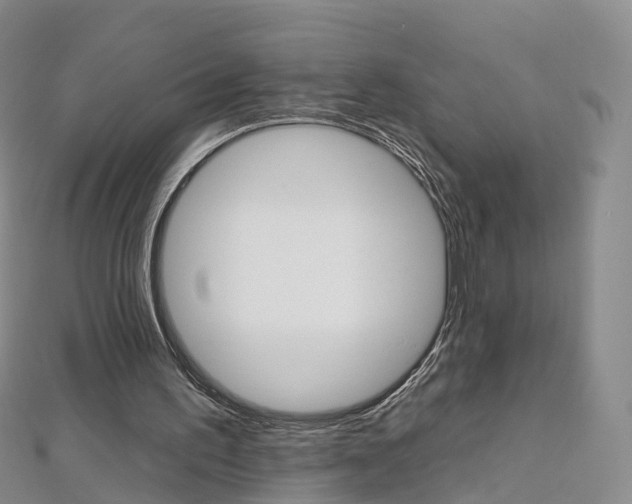 X0000112930195200908241102