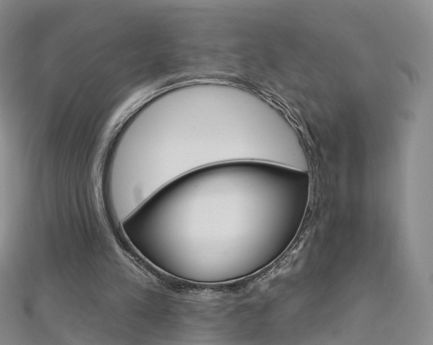 X0000112930197200908241102