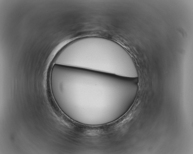 X0000112930200200908241102