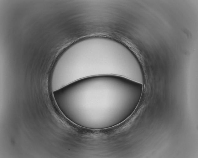 X0000112930201200908241102