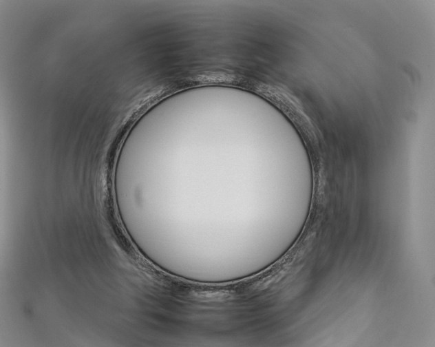 X0000112930202200908241102