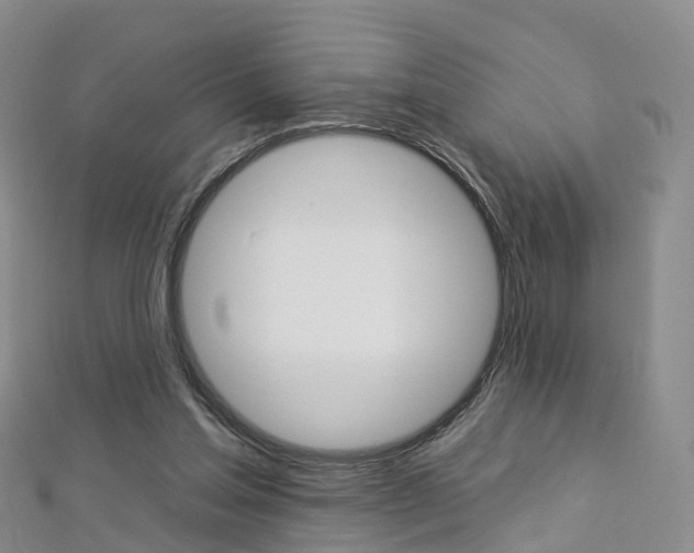 X0000112930205200908241102