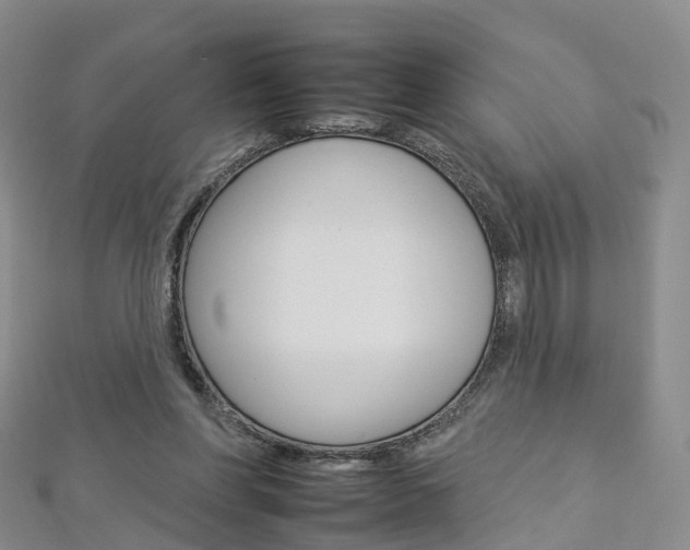 X0000112930206200908241102