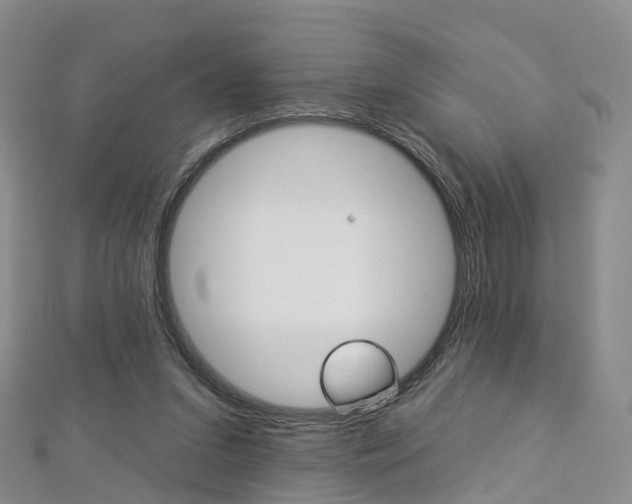 X0000112930207200908241102