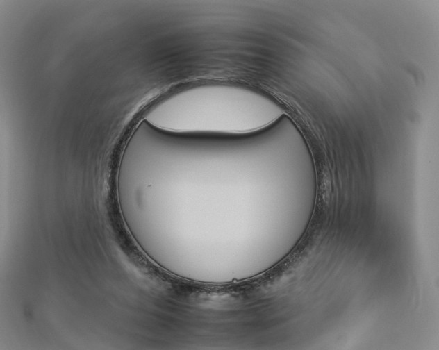 X0000112930208200908241101