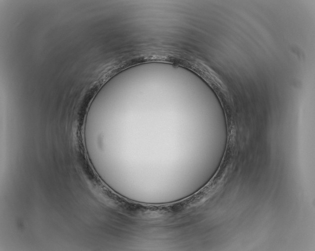 X0000112930209200908241101