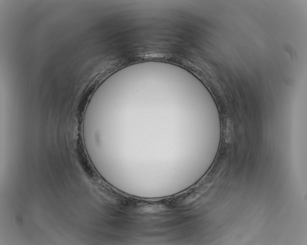 X0000112930210200908241101