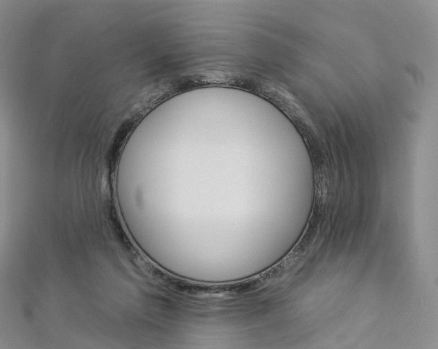 X0000112930213200908241101