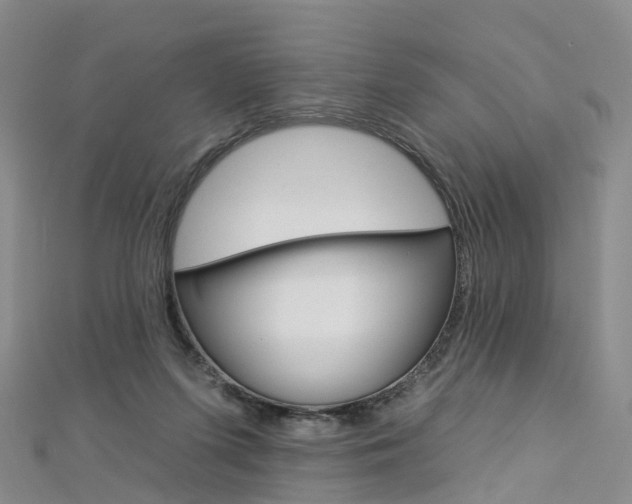 X0000112930215200908241101