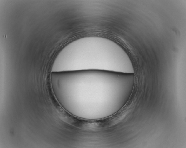 X0000112930217200908241101
