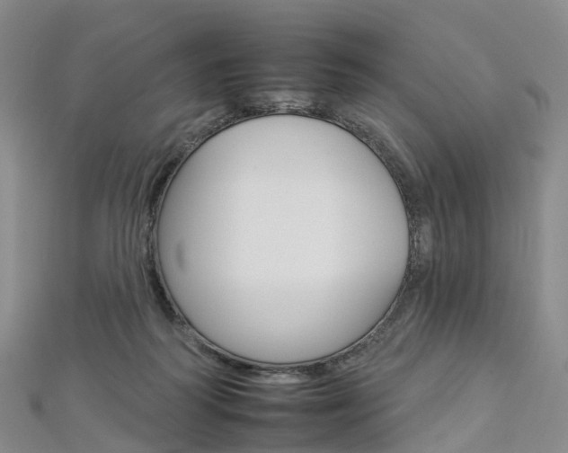 X0000112930218200908241101