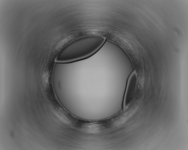 X0000112930219200908241101