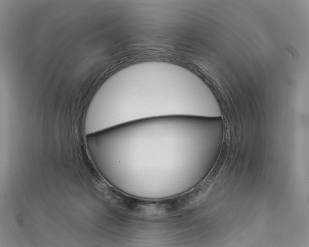 X0000112930221200908241101