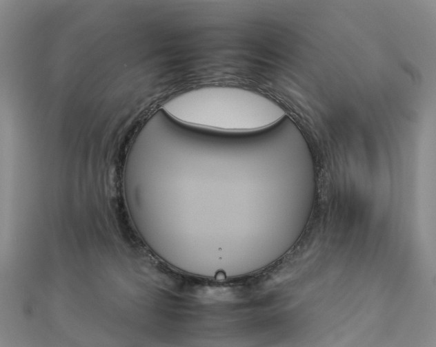 X0000112930224200908241101