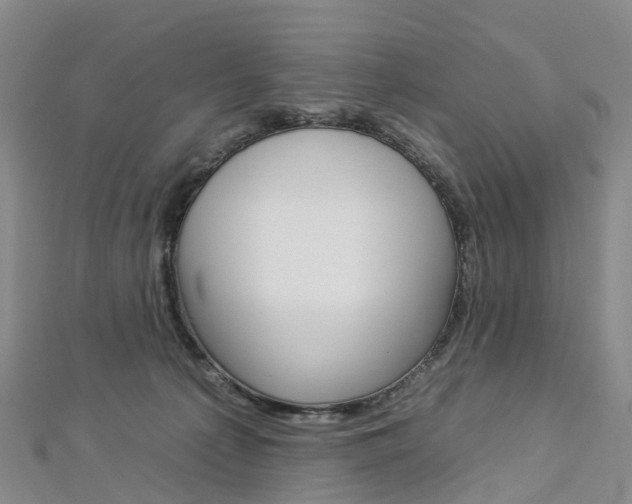 X0000112930225200908241101