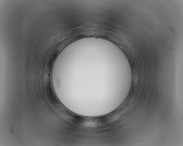 X0000112930226200908241101