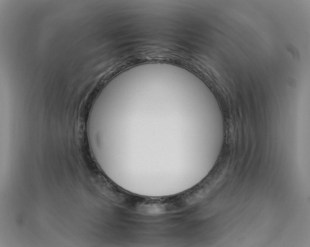 X0000112930228200908241101
