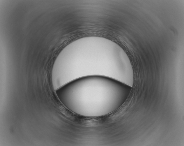X0000112930229200908241101