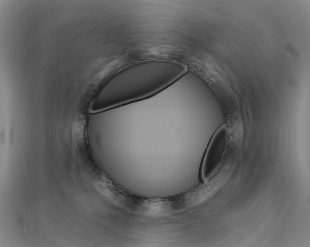 X0000112930231200908241101