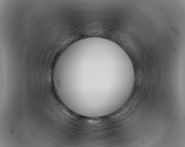 X0000112930232200908241101