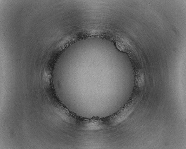 X0000112930235200908241101
