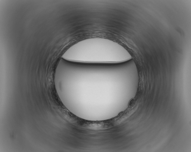 X0000112930236200908241101