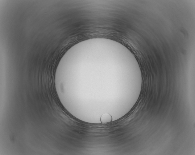 X0000112930237200908241101