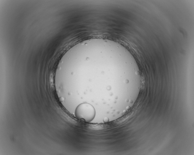 X0000112930238200908241101