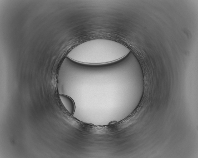 X0000112930240200908241101